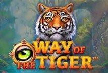 Way of the Tiger Slot Review